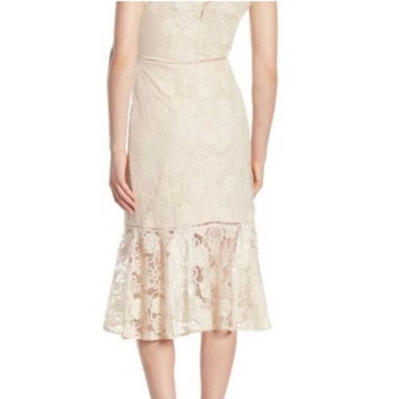 Alexia Admor Mother of Bride or Guest Dress, Bisque,  Lace Overlay, Cocktails 10 - Picture 2 of 11